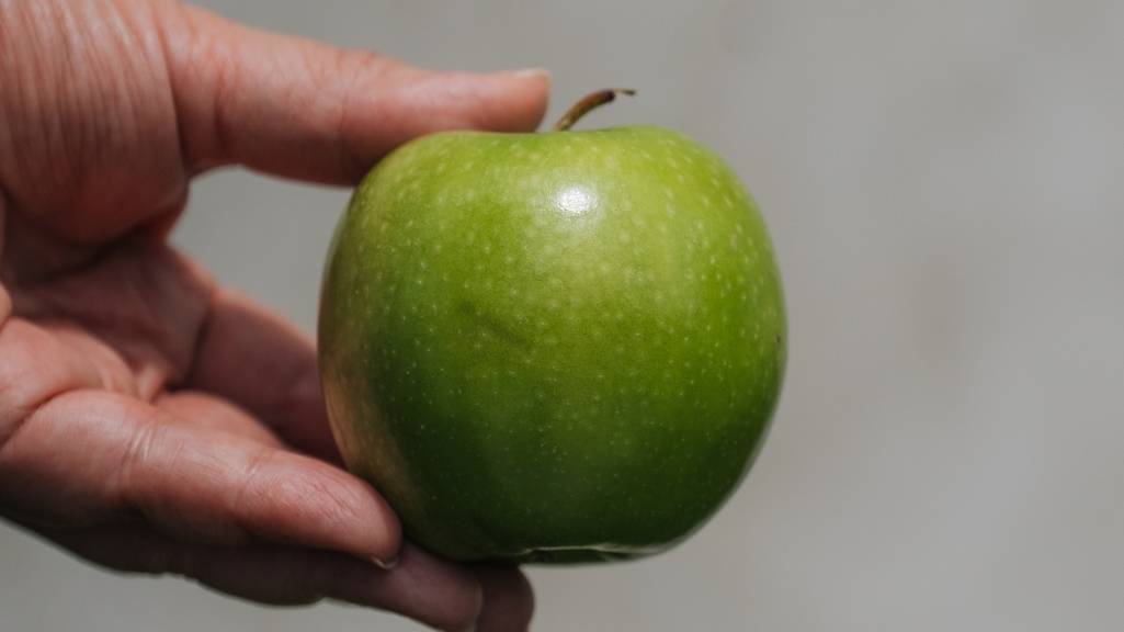 Why Fiber Is the Cornerstone of Longevity and Gut Health